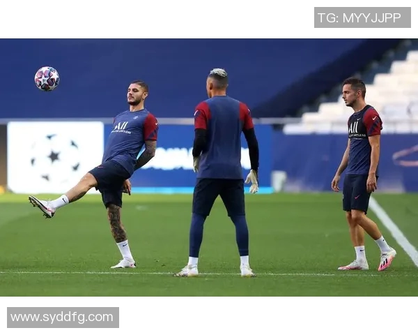 武汉排球队的阵地战解析与欧冠足球的深度对比分析